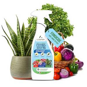 Soufre mouillable traitement oïdium