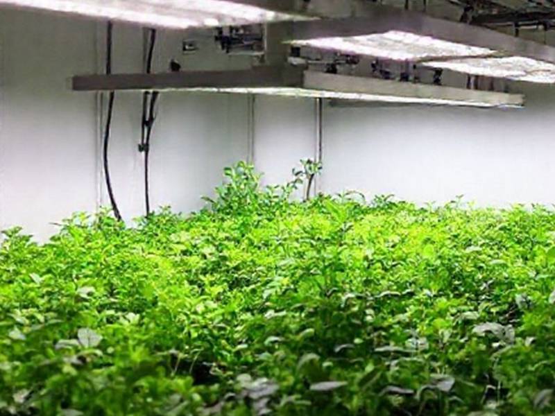 Installation d'un osmoseur inverse pour la culture indoor