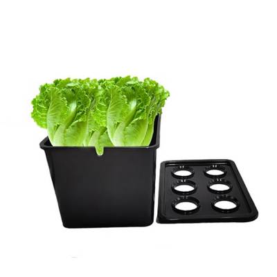 Bac de Culture Hydroponique