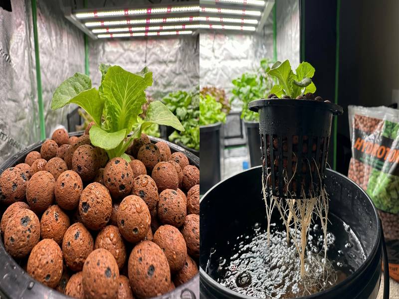 Billes d'argile expansée Hydroton pour hydroponie